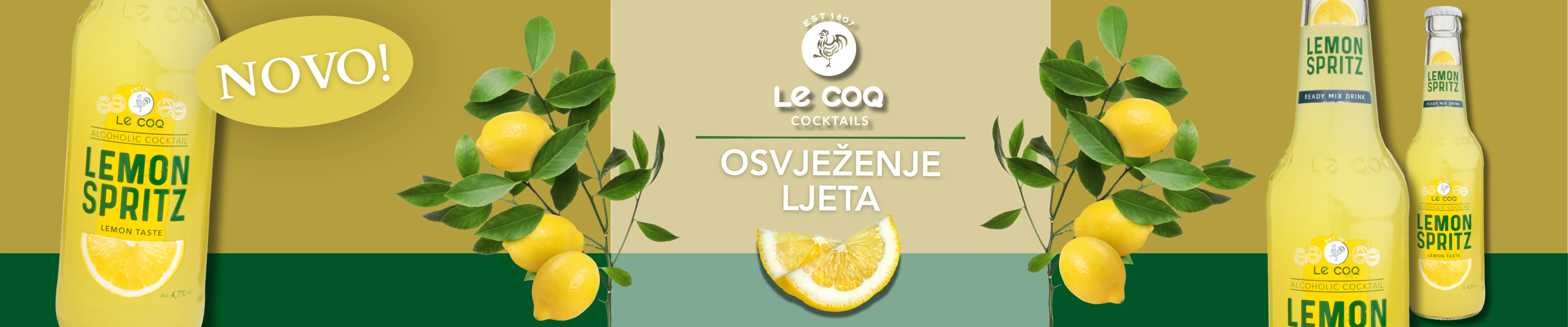 Homepage jedna slika